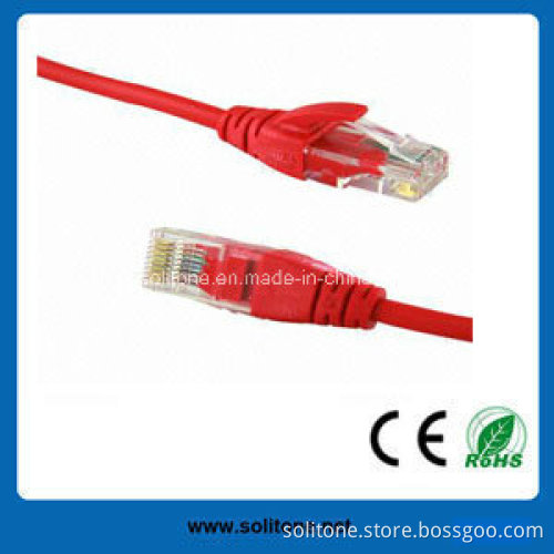 UTP CAT6 Patch Cable/Jumper Wire with Best Price